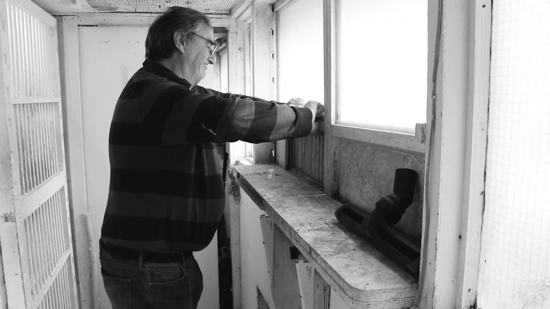 Meet John Randall, the last of Britain’s pigeon fanciers