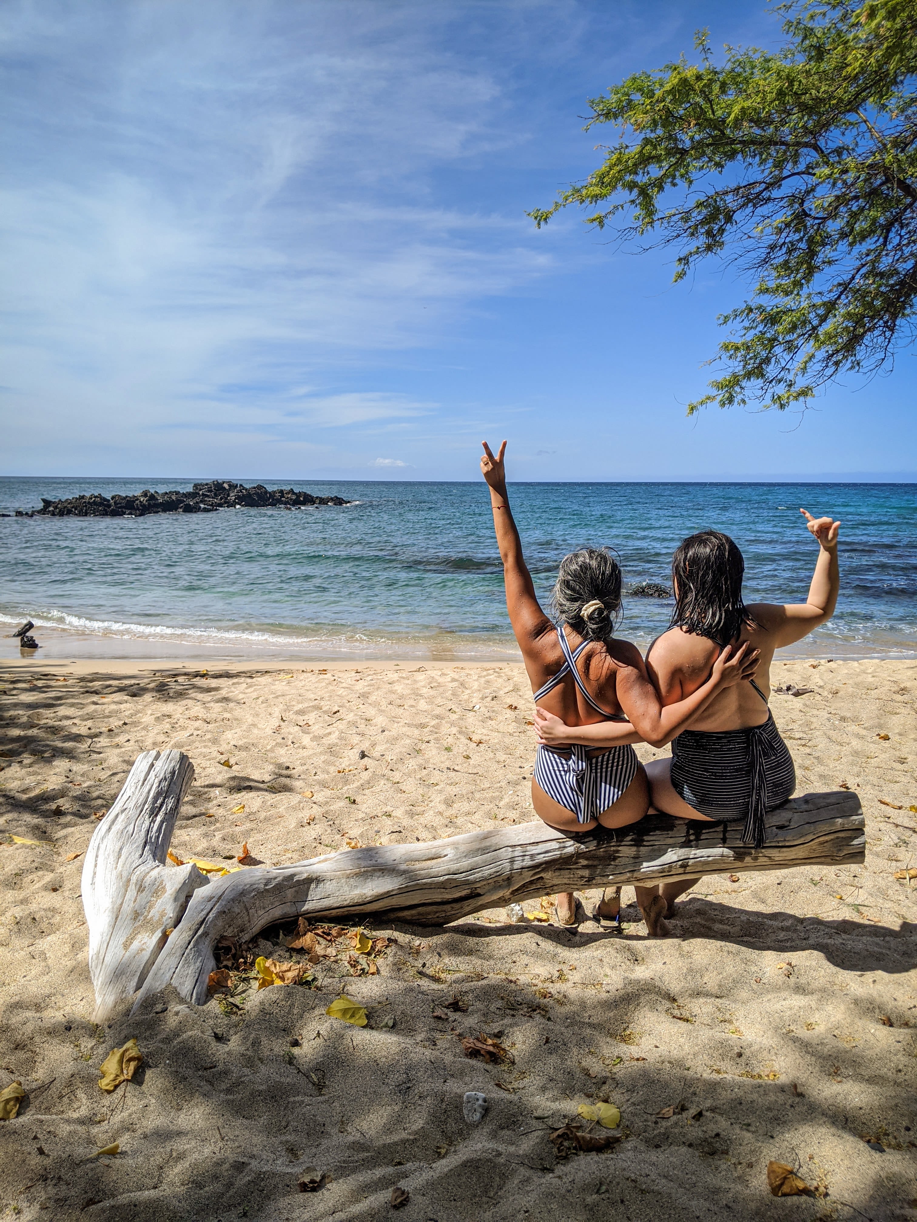 woman in black and white stripe bikini sitting on brown wooden log on beach during daytime